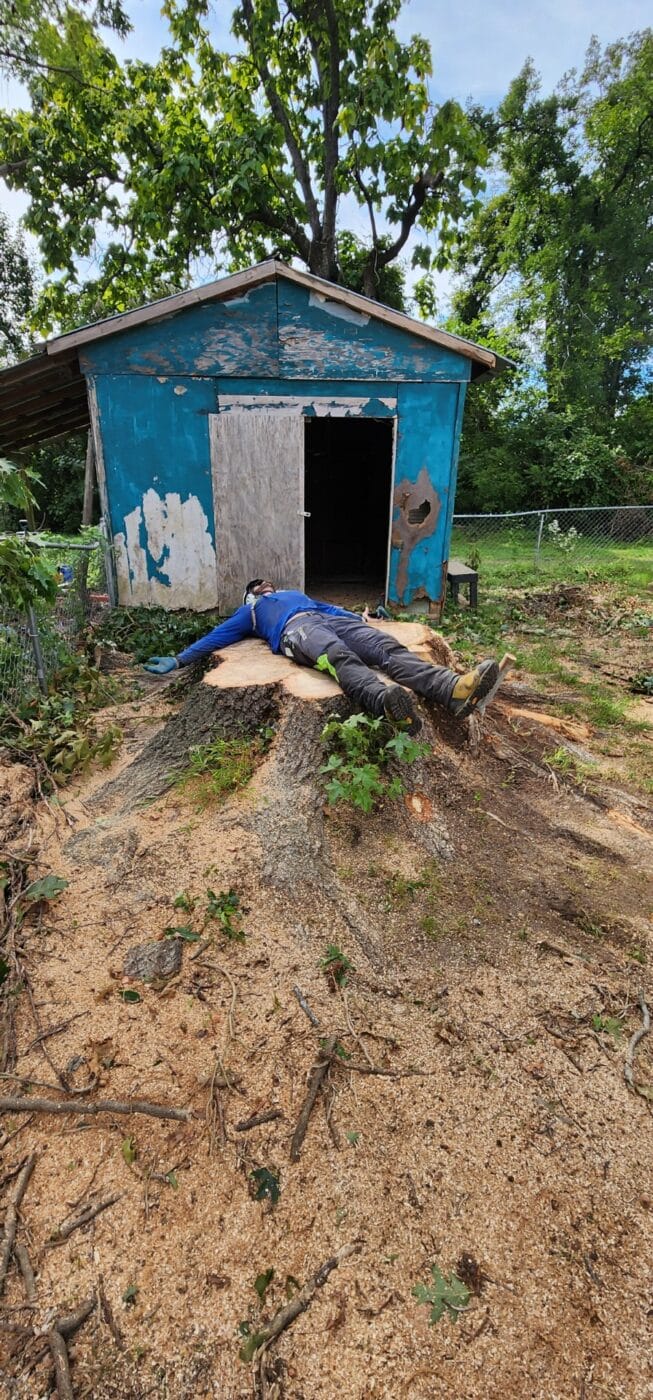 Person lying on a large tree stump in front of a weathered blue shed with surrounding greenery.